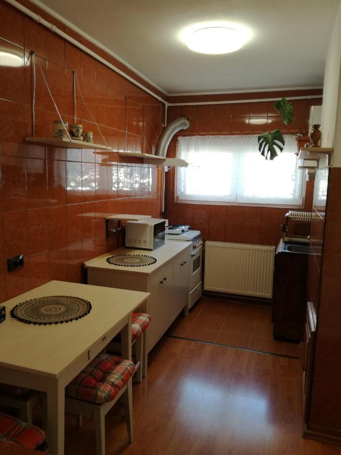 Sara Apartman Târgu-Mureş Dış mekan fotoğraf
