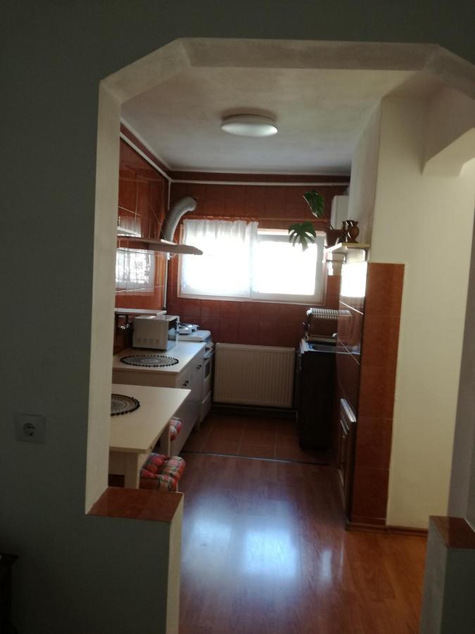 Sara Apartman Târgu-Mureş Dış mekan fotoğraf